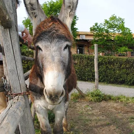 Tenuta Serpepe *